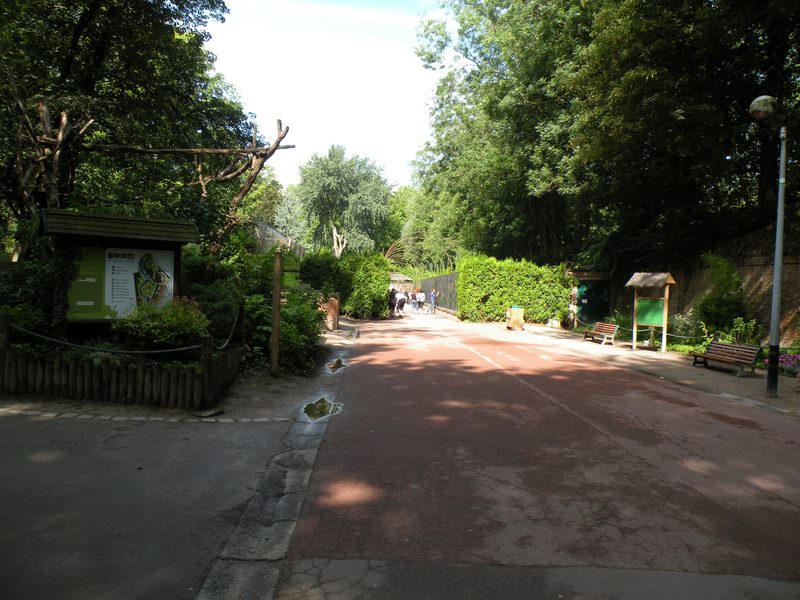 zoo